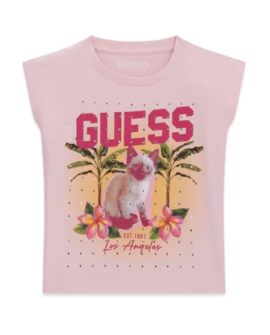 Csta. j6gi12 k8hm4 guess niÑa