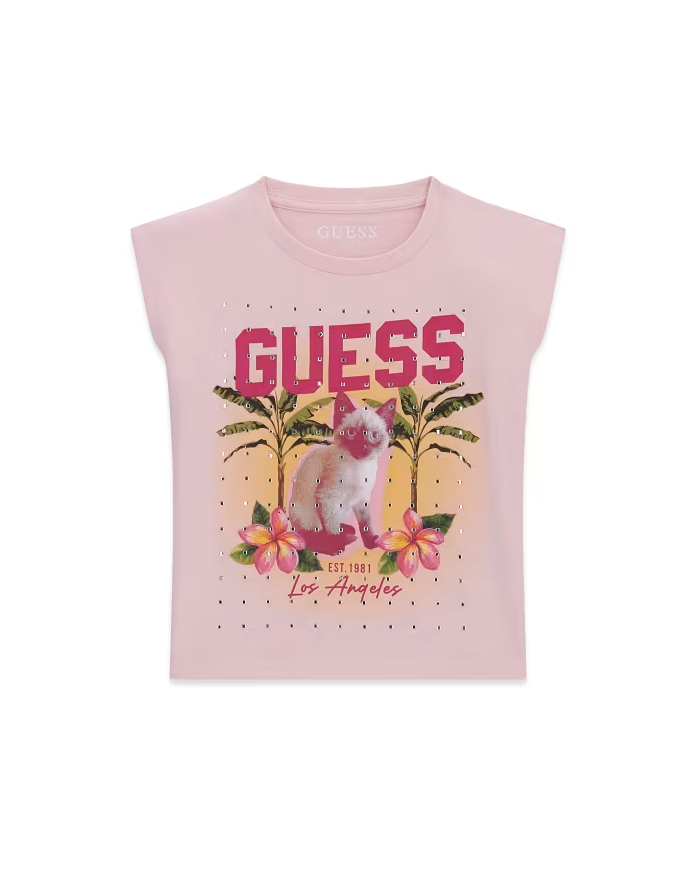 Csta. j6gi12 k8hm4 guess niÑa