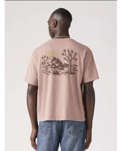 Csta. 004h0 levis hombre