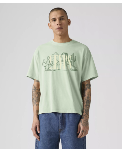 Csta. 004h0 levis hombre