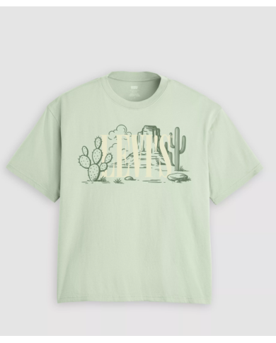 Csta. 004h0 levis hombre