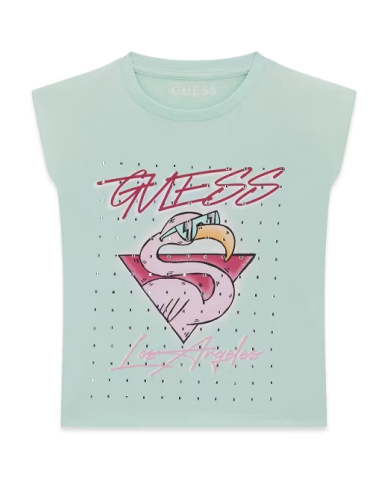 Csta. j6gi12 k8hm4 guess niÑa