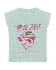 Csta. j6gi12 k8hm4 guess niÑa