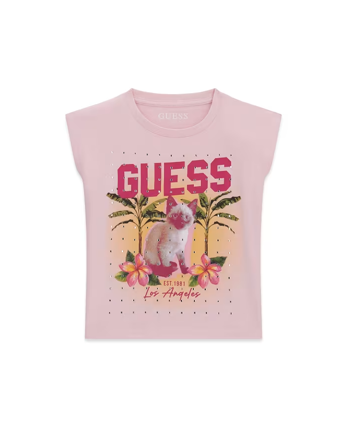 Csta. j6gi12 k8hm4 guess niÑa