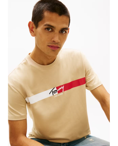 Csta. dm0dm22539 tommy jeans hombre