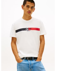 Csta. dm0dm22539 tommy jeans hombre