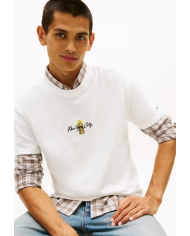Csta. dm0dm22532 tommy jeans hombre