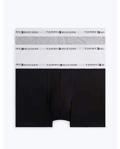 Boxer um0um03889 th hombre