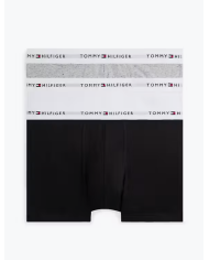 Boxer um0um03889 th hombre