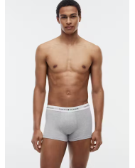 Boxer um0um03889 th hombre