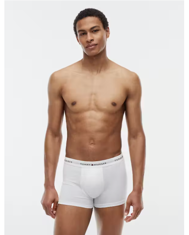 Boxer um0um03889 th hombre