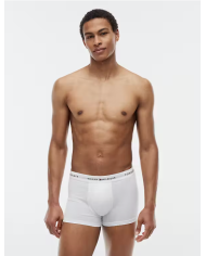 Boxer um0um03889 th hombre