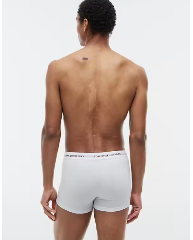 Boxer um0um03889 th hombre