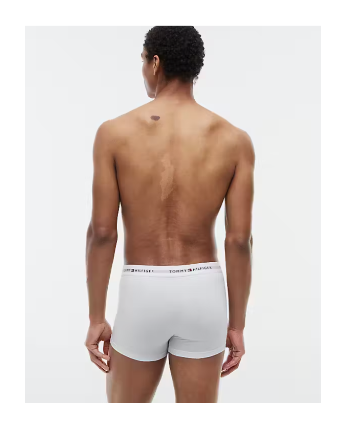 Boxer um0um03889 th hombre