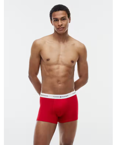 Boxer um0um03889 th hombre