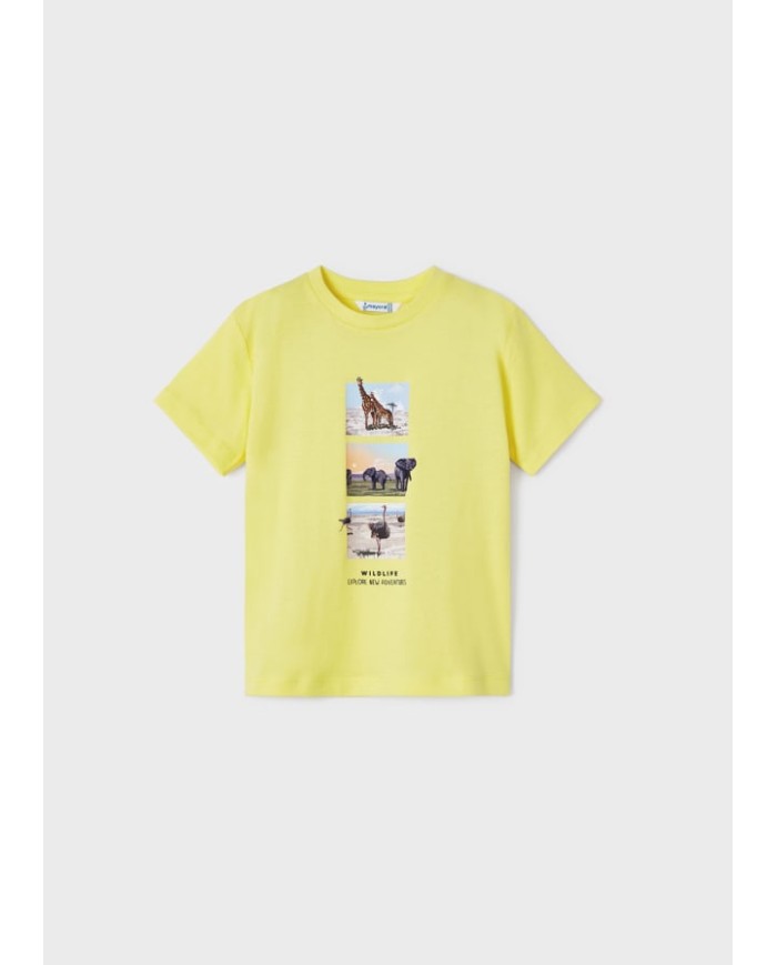 Set 2 Camiseta m/c 5d 3008 mayoral niña