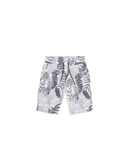 Bermuda mkfs00013 fa180057 morato niño