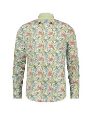 Camisa 28.003 a fish named fred hombre