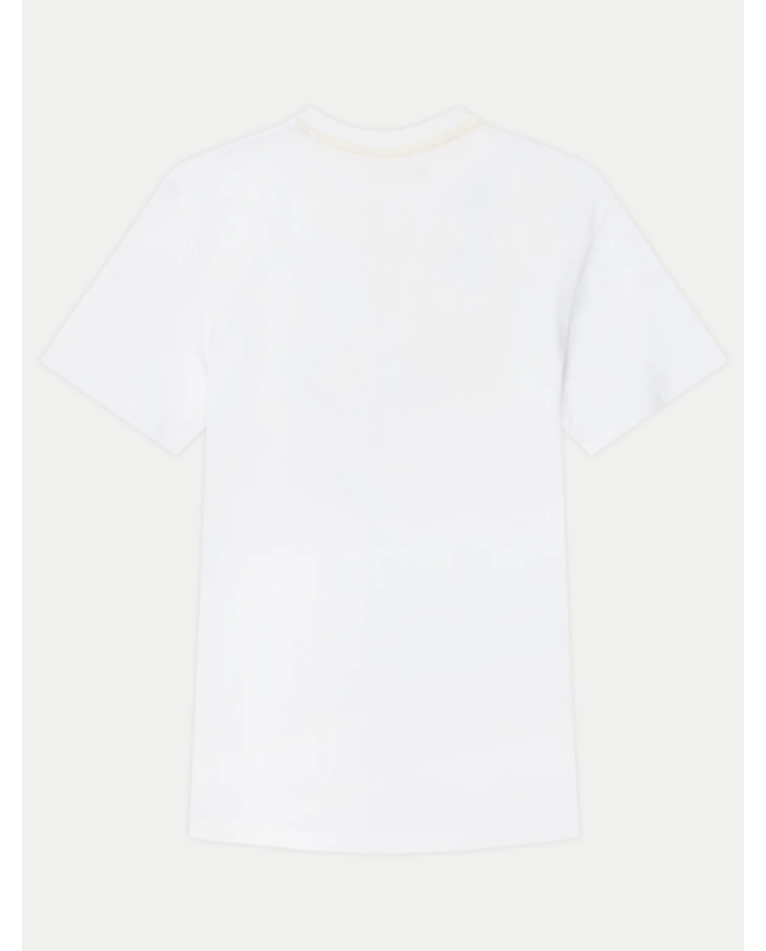 Csta. l5gi00 k8hm4 guess niÑo