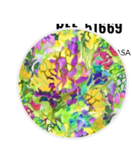 Vestido midi gasa 51669 carla ruiz mujer