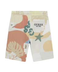 Bermuda l5gd10 ka6r4 guess niÑo